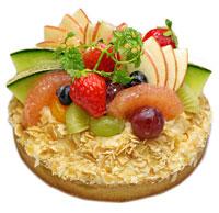 �t���[�c�^���g