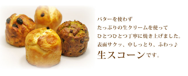 �o�^�[���g�킸���N���[�����g�p�������X�R�[��